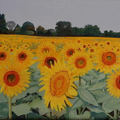 Infiniment tournesols